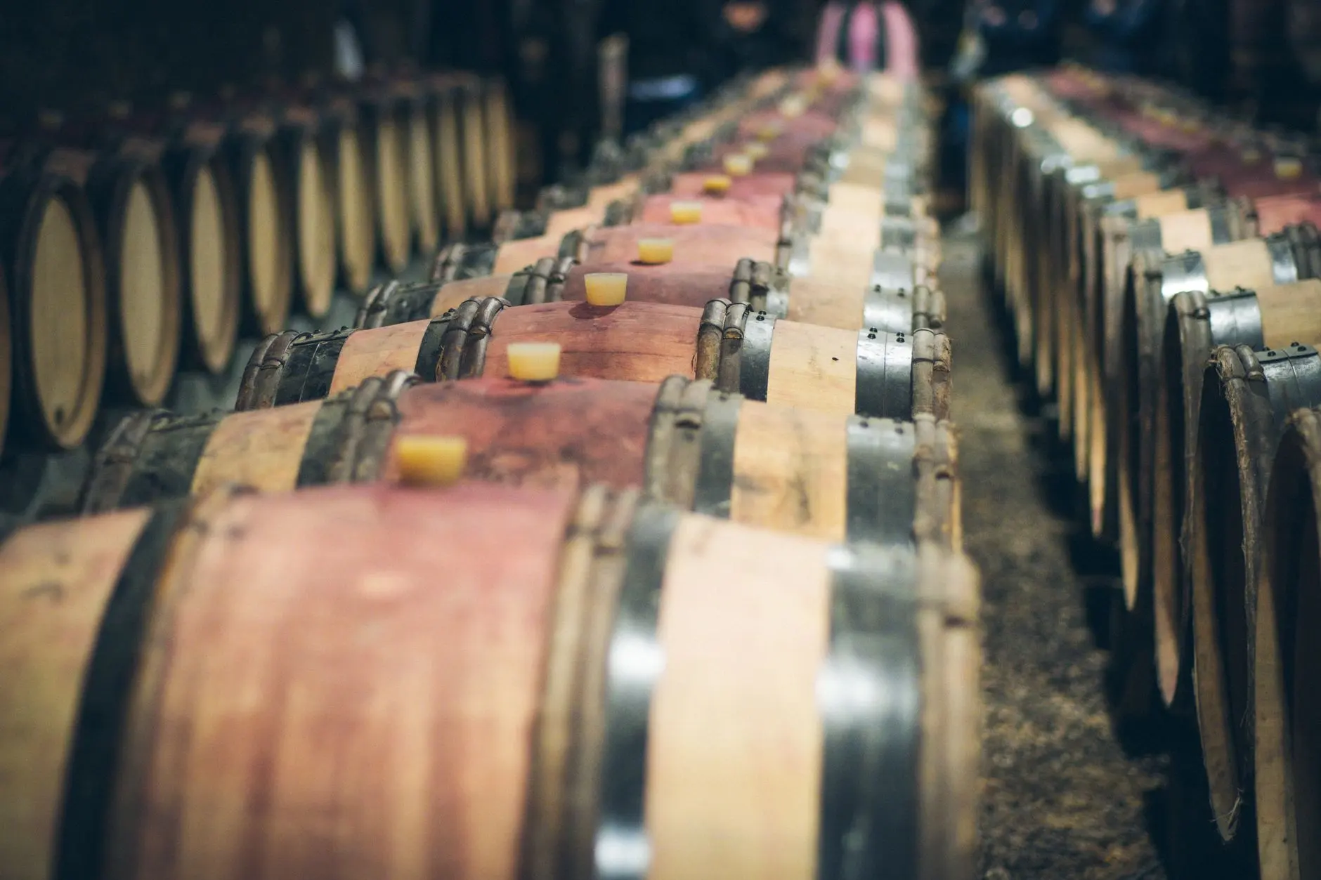 上海温洋贸易：从原料到成品解析酥脆蛋卷与曲奇的生产工艺要点