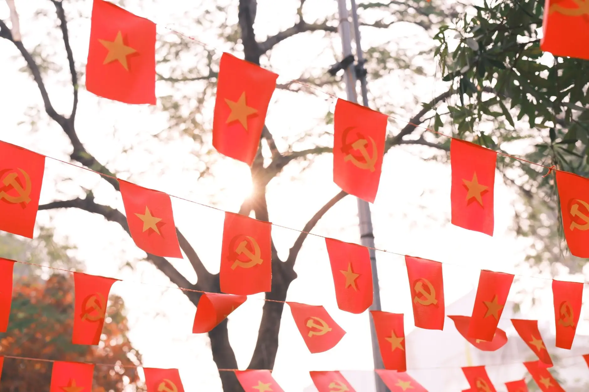 2025年烘焙零食行业技术趋势：酥脆曲奇与蛋卷生产工艺升级方向